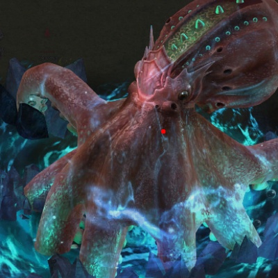 ���澺������ʤ������ʵս�ĵ����